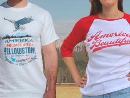 Generic Thematic Ads Only