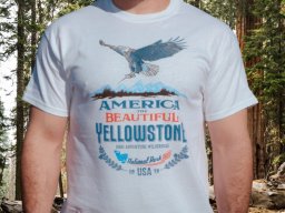 MACK-Spenser-D247-1-105-c