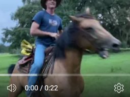 Man male horse ATB western