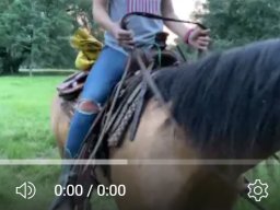 Man male general 3897